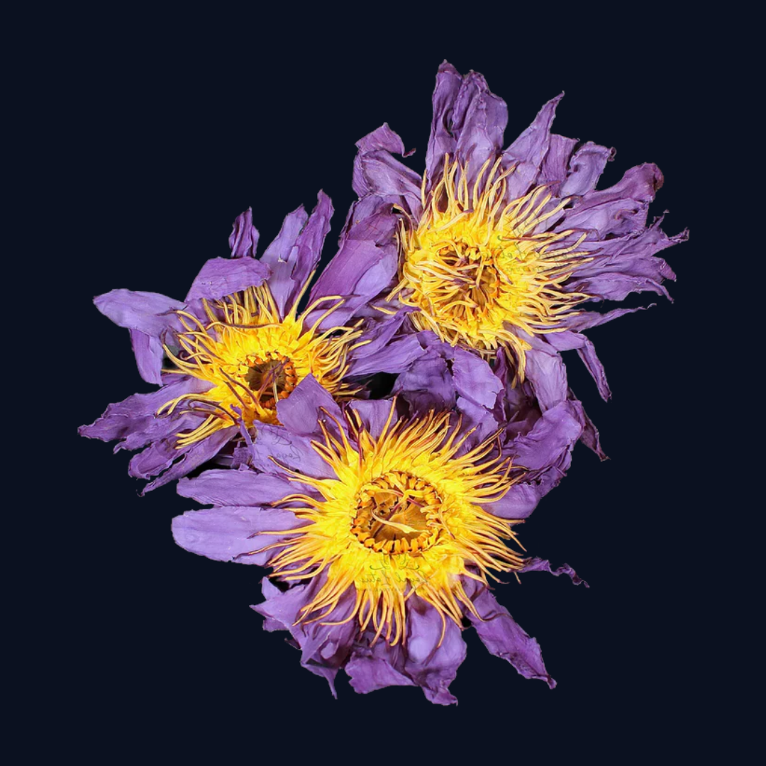 Whole Flower